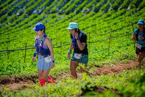 BIB: 2174
                            <button type="button" onclick="openModal(19162783)" class="btn btn-primary btn-sm float-right btn-popup" data-toggle="modal" data-target=".modal-high-quality">
                        <i class="fas fa-shopping-cart"></i> Add to Cart
                    </button>
                                            <button type="button" onclick="isThisMe(19162783, true)" class="btn btn-success btn-sm float-right btn-popup btn-isme hidden" data-toggle="tooltip" data-placement="bottom" title="นี่คือรูปของคุณใช่ไหม คลิกที่นี่เพื่อเอาเข้าอัลบั้ม">
                        <i class="fas fa-plus"></i> Add to album
                    </button>
                    <button type="button" onclick="isThisMe(19162783, false)" class="btn btn-warning btn-sm float-right btn-popup btn-isnotme hidden">
                        <i class="fas fa-ban"></i> Remove from album
                    </button>